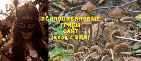 эйфоретик Аркадак