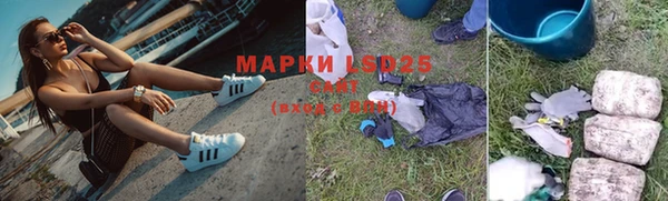 эйфоретик Аркадак