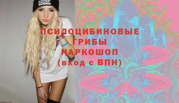 эйфоретик Аркадак