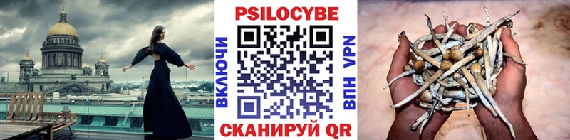 МЕГА ССЫЛКА  Шадринск  Псилоцибиновые грибы Cubensis 